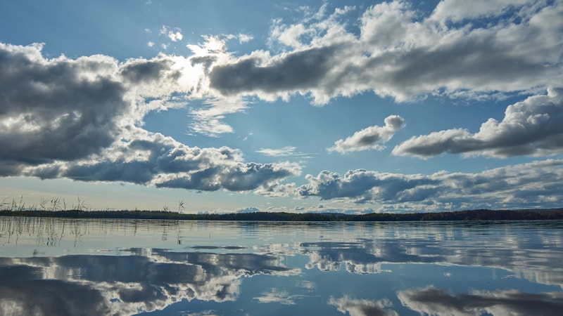 Flash Flood Preparedness: When Water Rises in Minutes